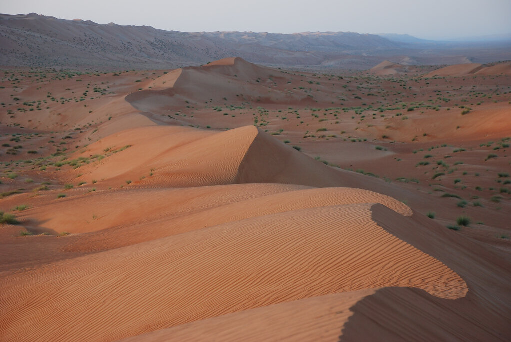 Ramlat al Wahiba / Ar Rimal ash Sharqiyya