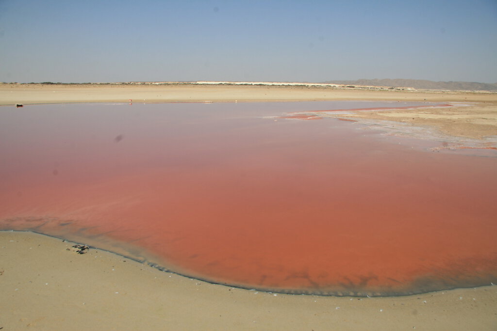 Pink Lagoon