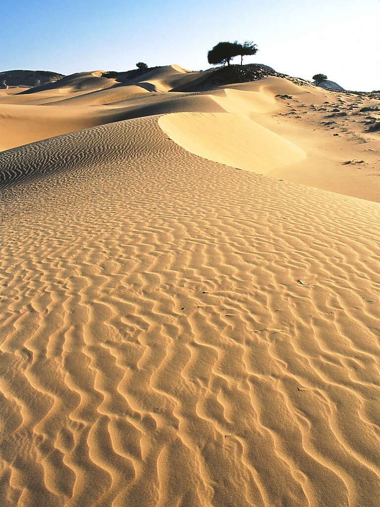 Ramlat al Wahiba / Ar Rimal ash Sharqiyya