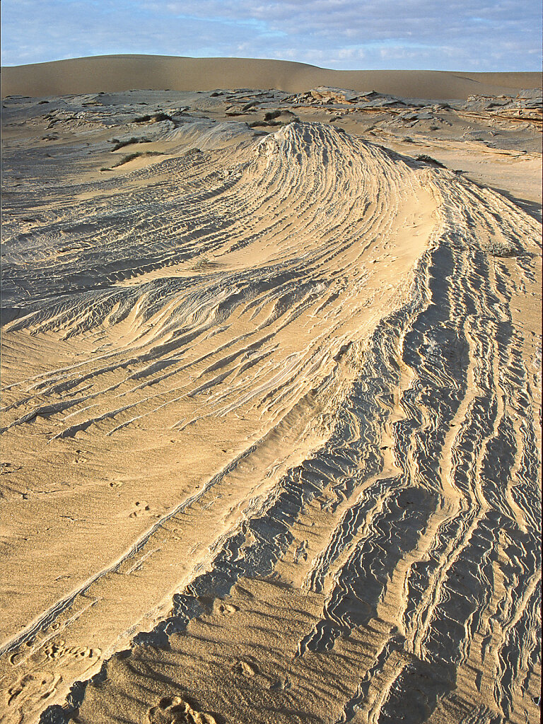 Ramlat al Wahiba / Ar Rimal ash Sharqiyya