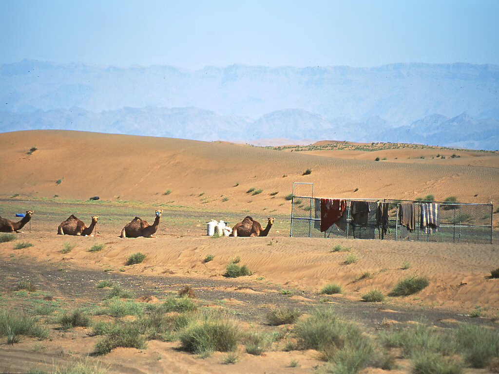 Ramlat al Wahiba / Ar Rimal ash Sharqiyya