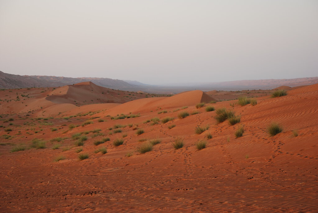 Ramlat al Wahiba / Ar Rimal ash Sharqiyya