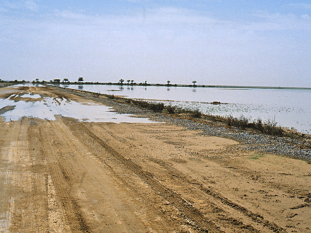 Wadi Halfayn nach Regen / Wadi Halfayn after rain