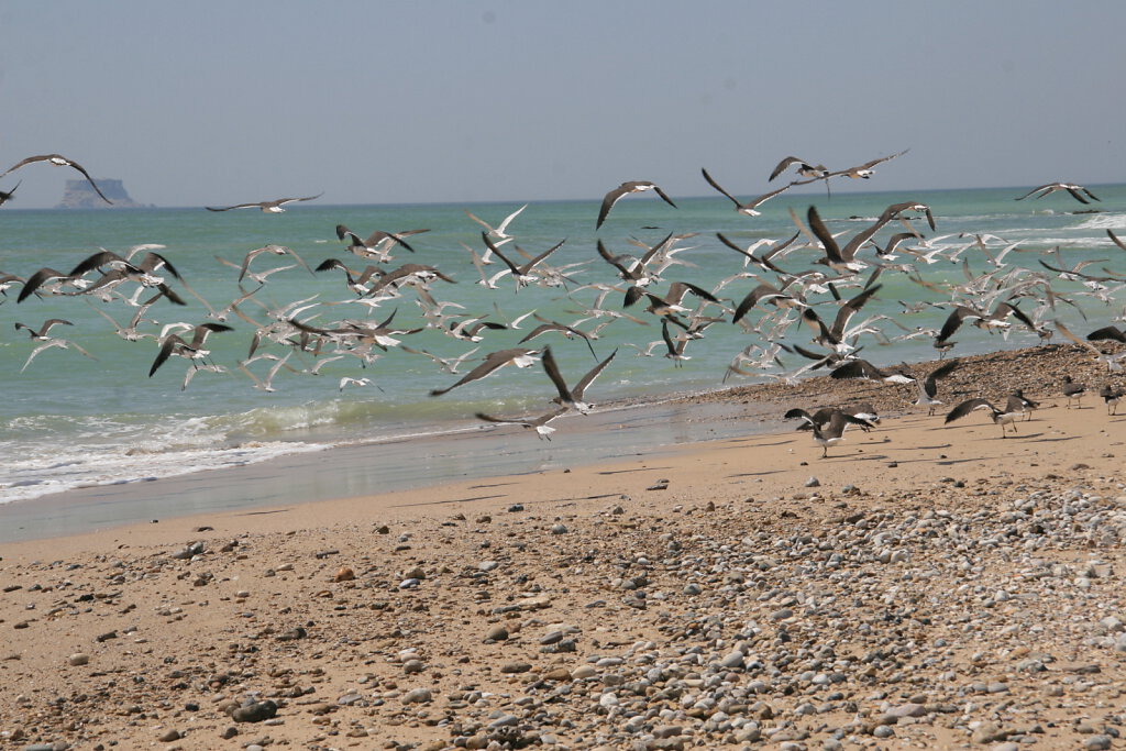 Küsteneindrücke / Coastal Impressions