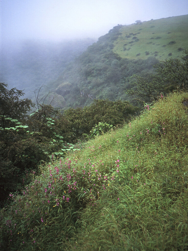 Djabal Qara / Jebel Qara