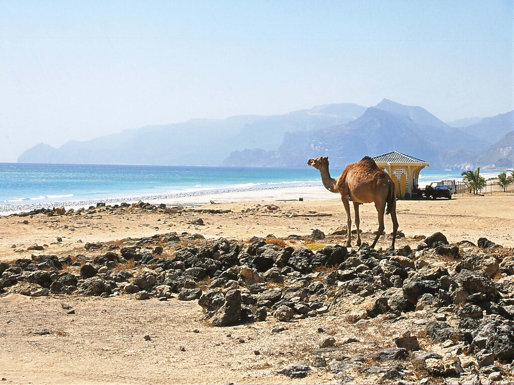 Mughsayl Strand / Beach