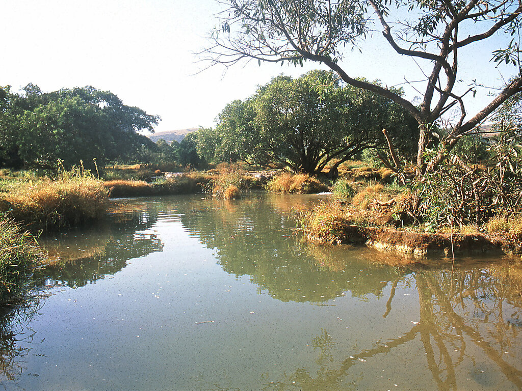 Wadi Darbat