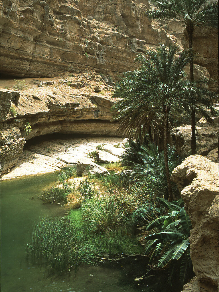 Wadi Shab