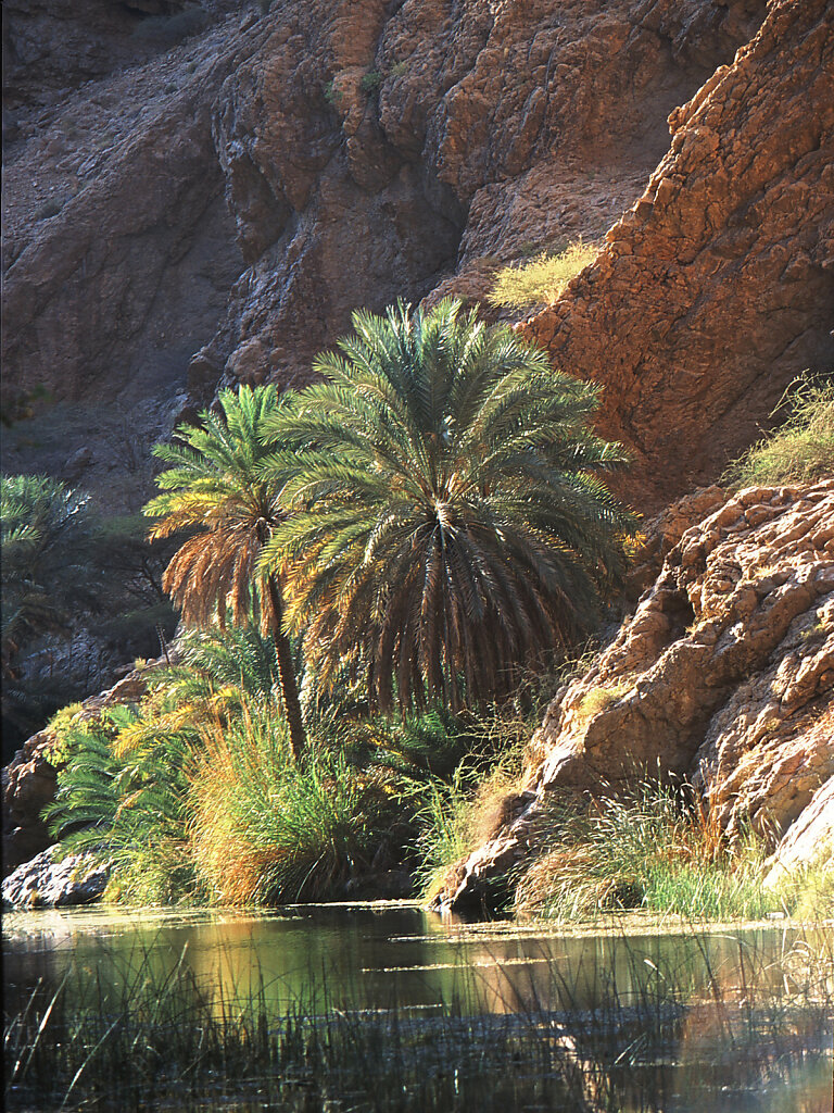 Wadi Shab