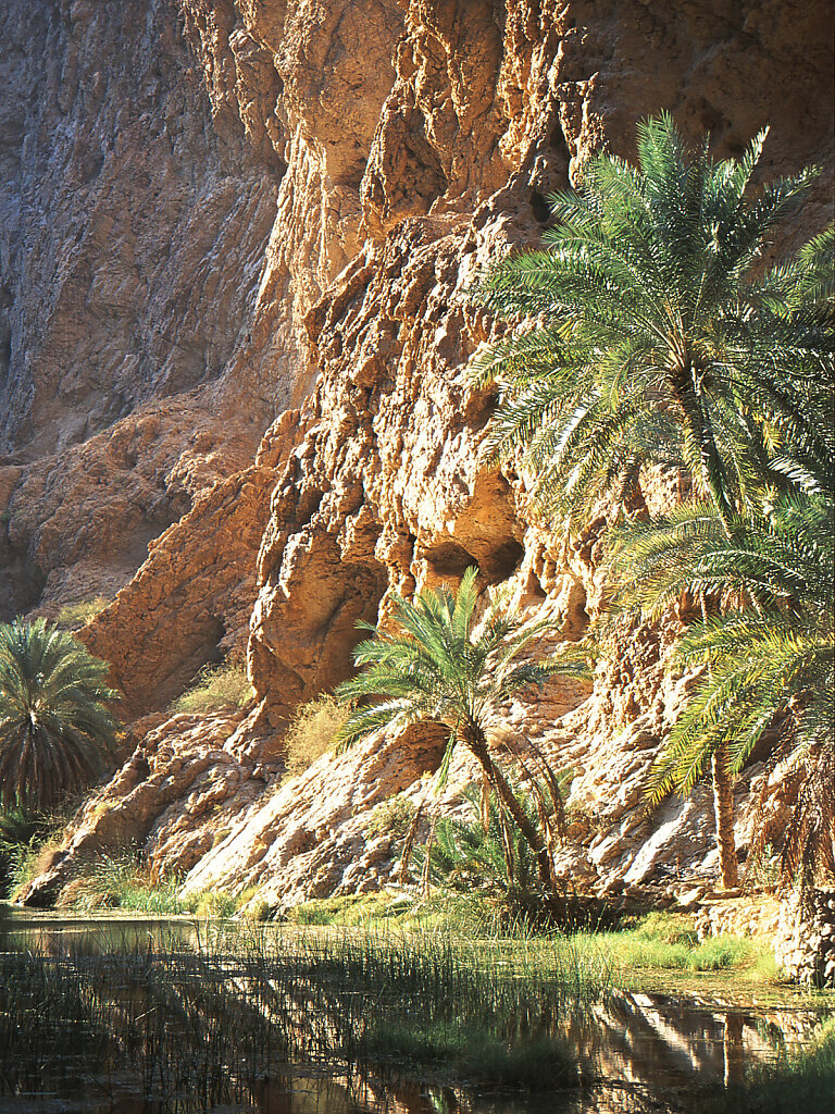 Wadi Shab