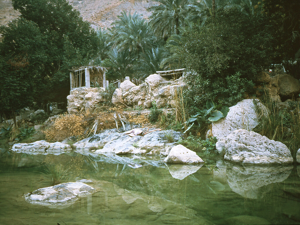 Wadi Tiwi