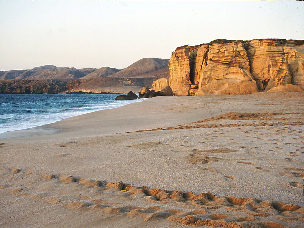 Ras Al Dschinz Schildkrötenspuren / Ras Al Jinz turtle tracks