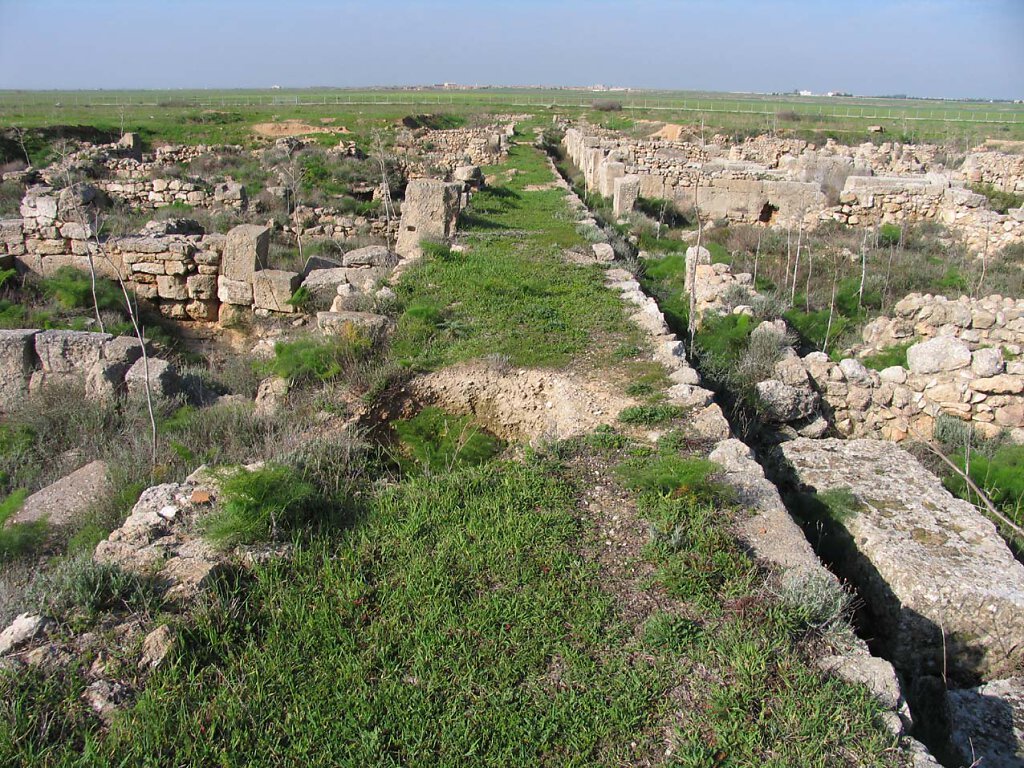 Enkomi Ruinen / Enkomi Ruins