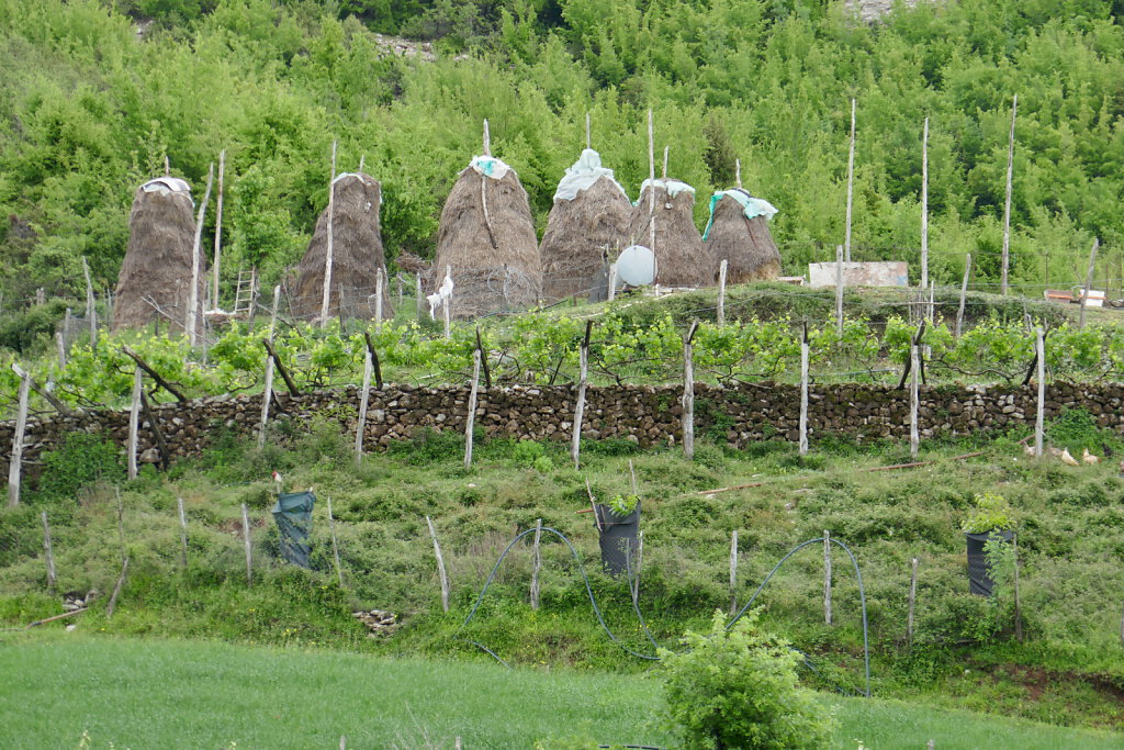 Komani See / Komani Lake