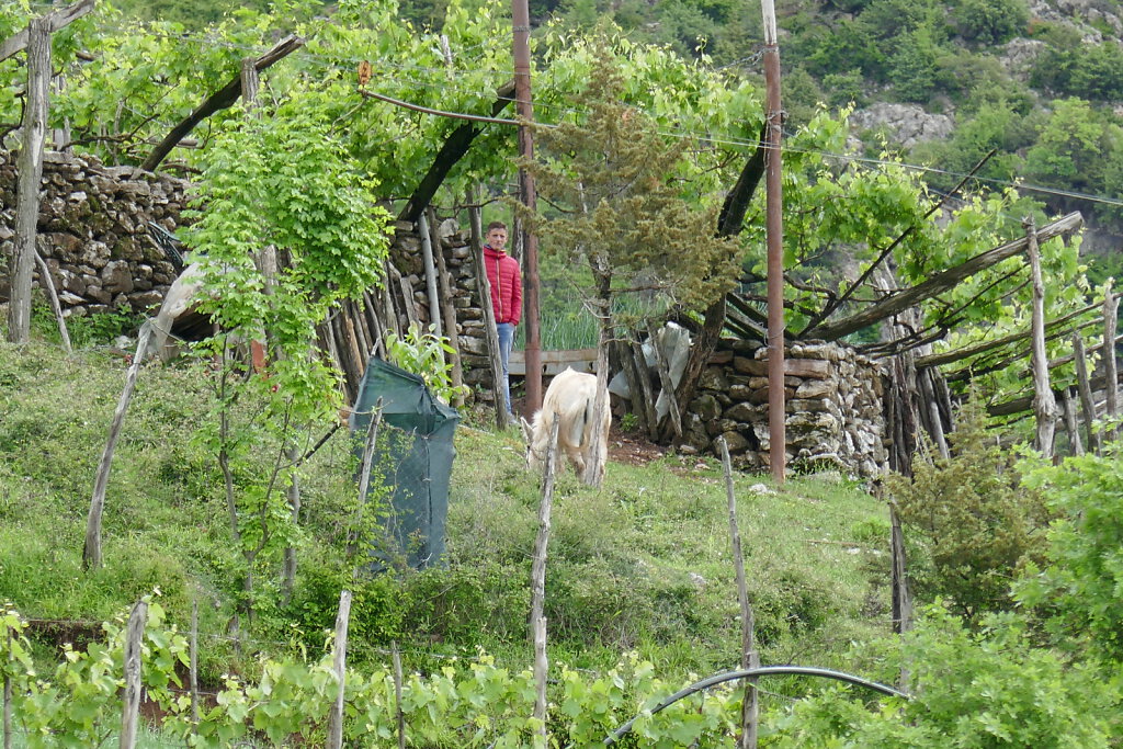 Komani See / Komani Lake