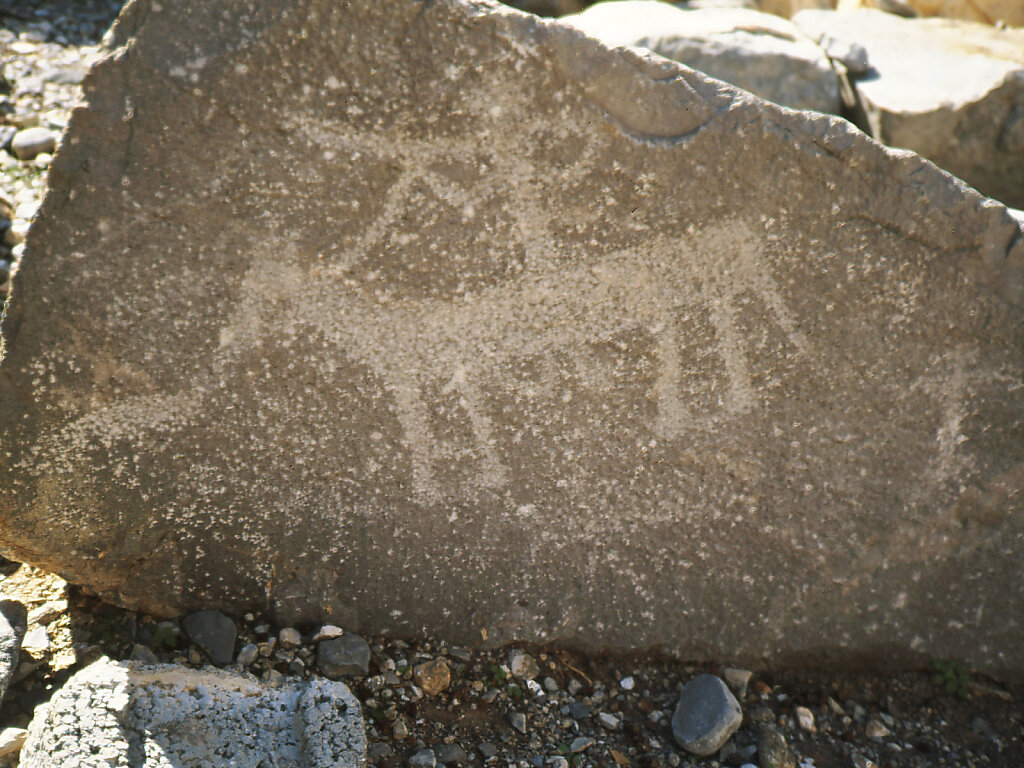 Felsmalerei / Rock Art