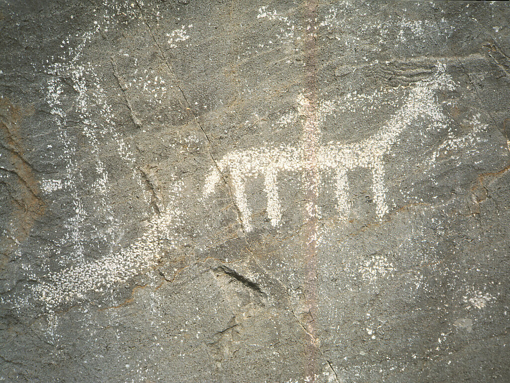 Felsmalerei / Rock Art