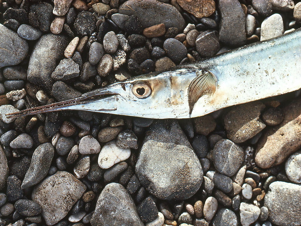 r3-12.jpg