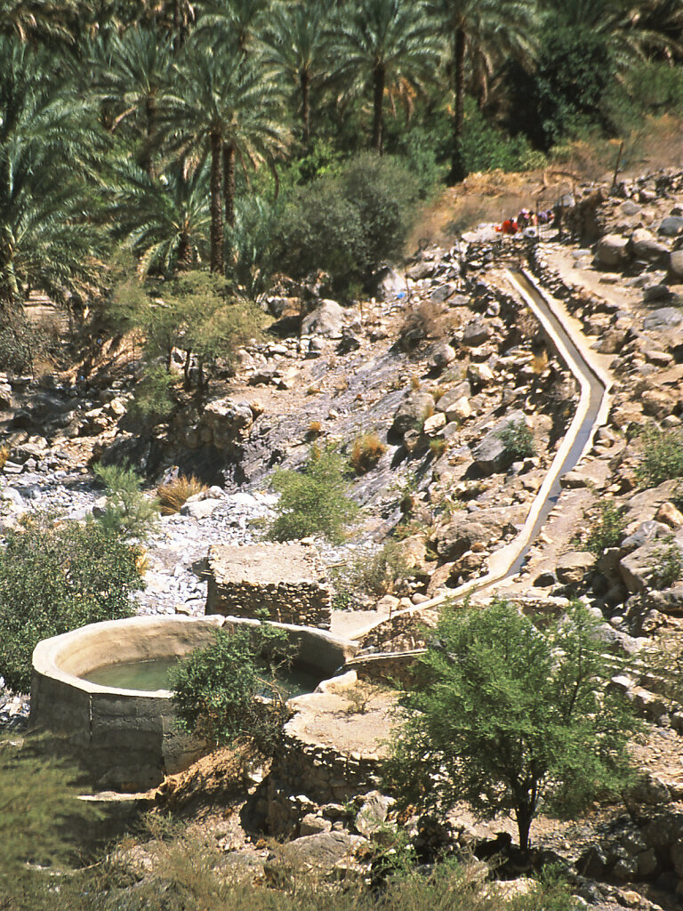 d11-34.jpg