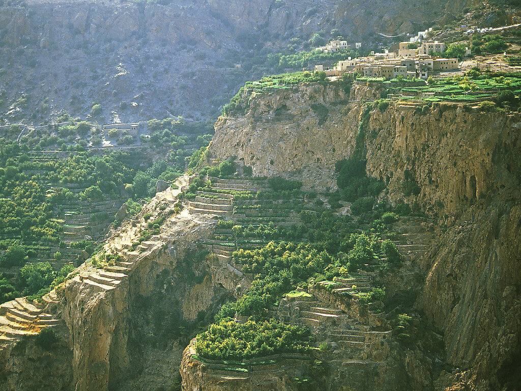 Djabal Akhdar Terrassenfelder / Jebel Akhdar terrace fields