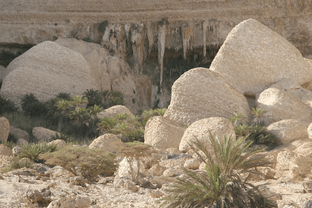Wadi Shuwaymiyyah