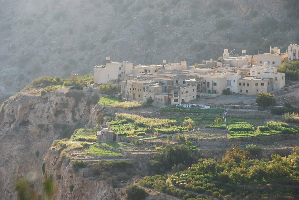 Djabal Akhdar Terrassenfelder / Jebel Akhdar terrace fields