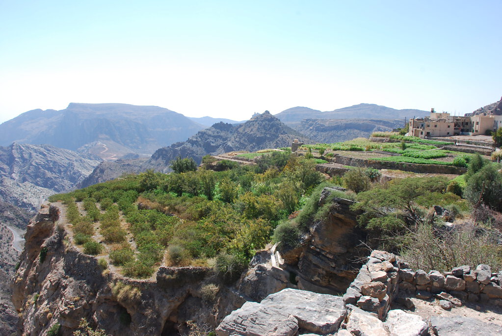 Djabal Akhdar Terrassenfelder / Jebel Akhdar terrace fields
