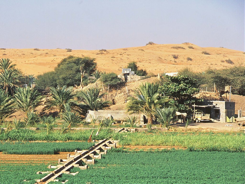 Al Wasil