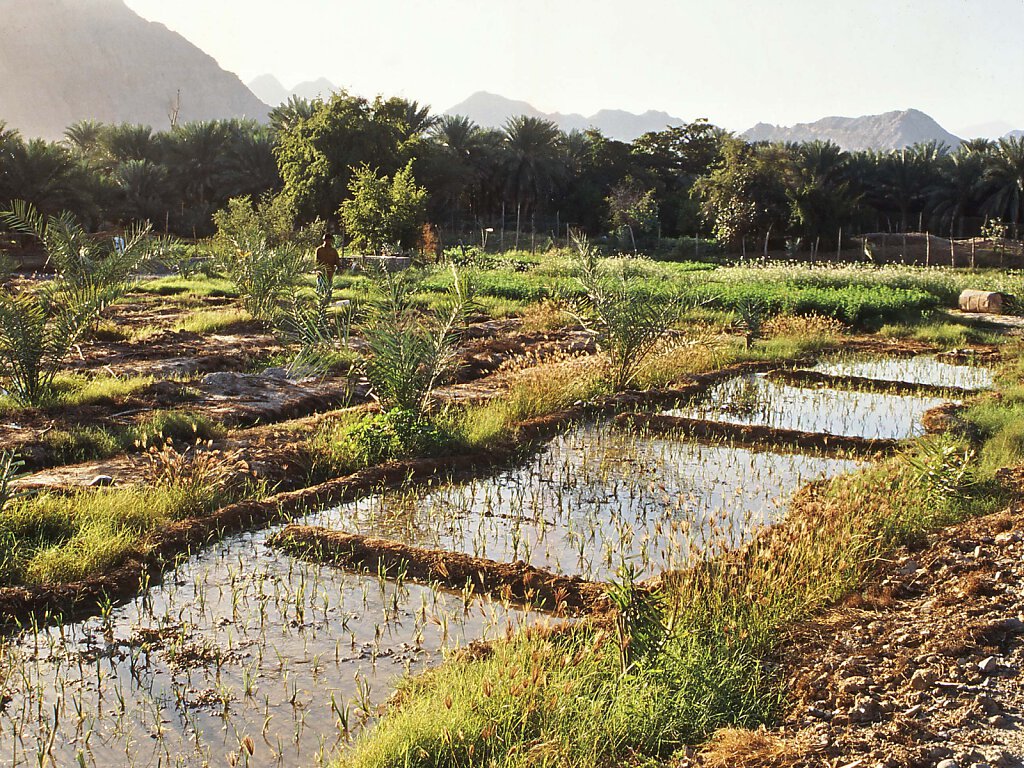 Musandam Khasab