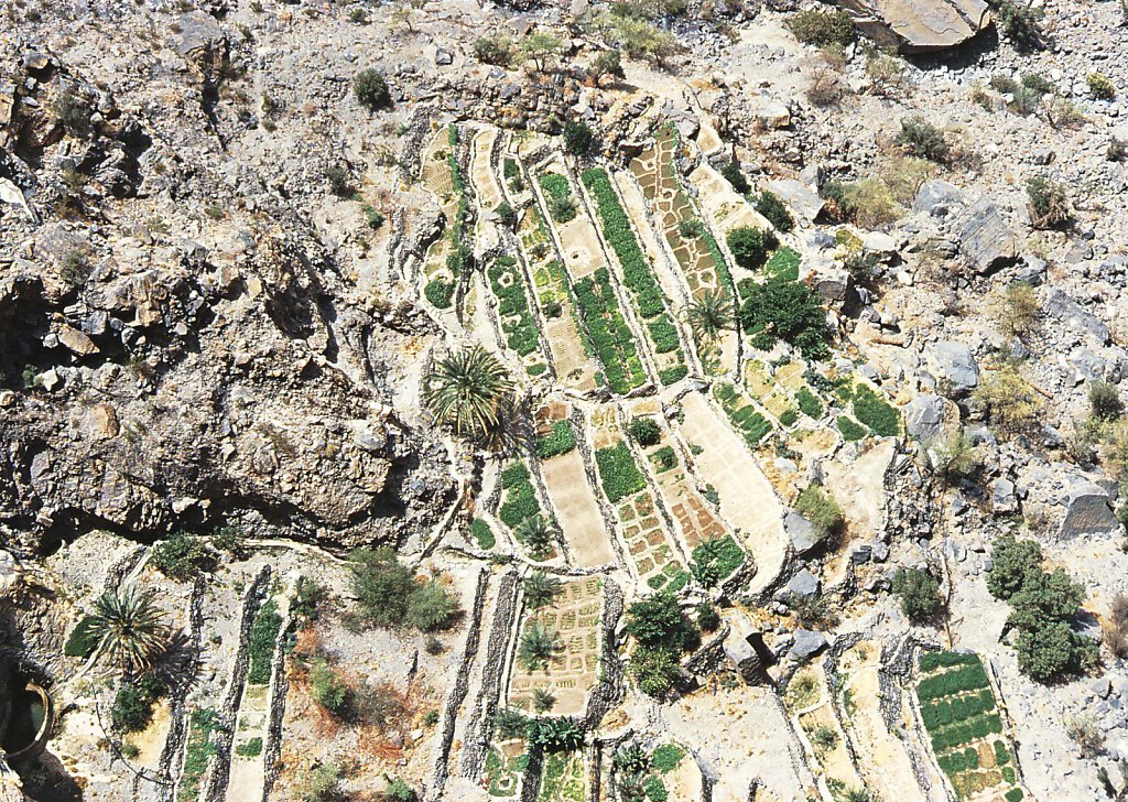 Djabal Akhdar Luftaufnahme Faladsch / Jebel Akhdar Falaj