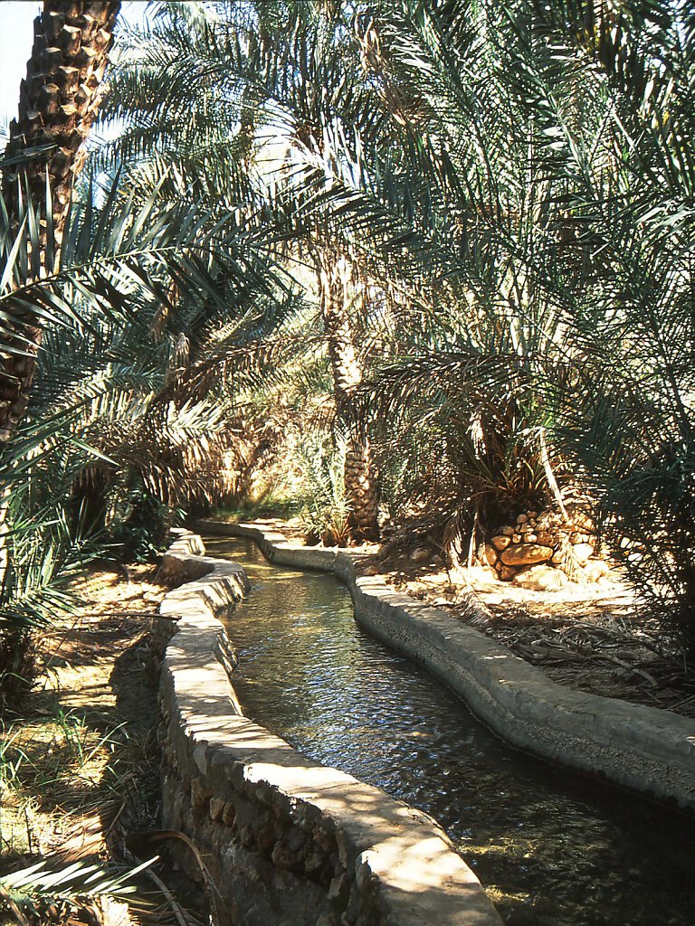 Wadi Dayqah
