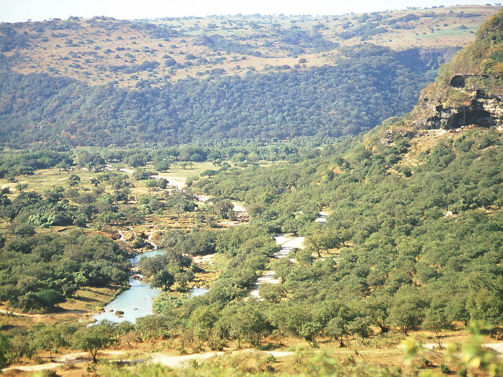 Wadi Darbat