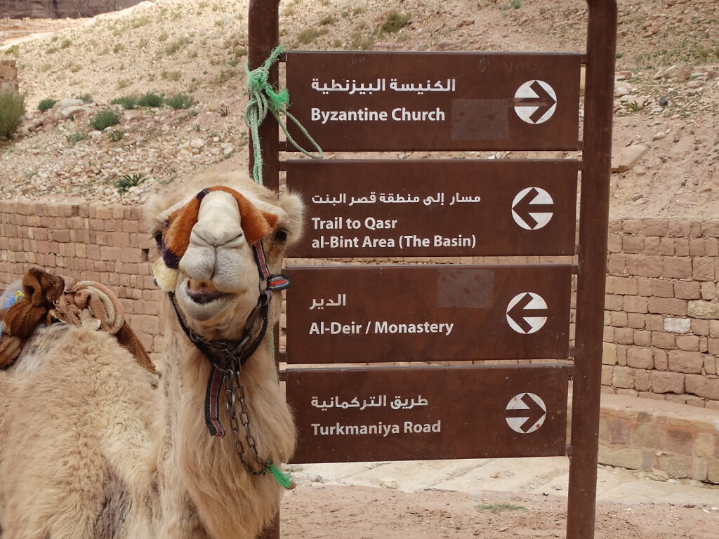Petra