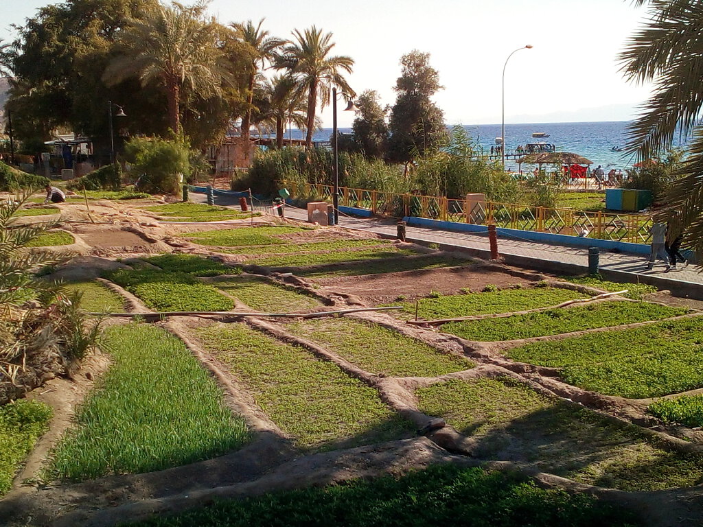 Aqaba