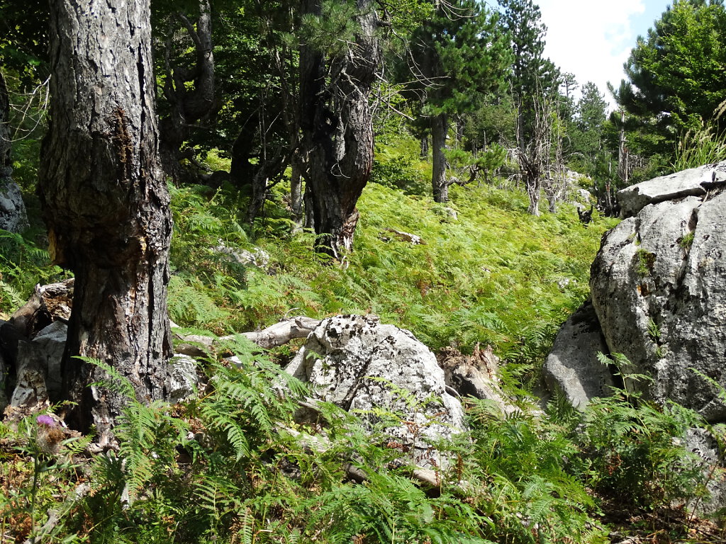 Albanische Alpen / Albanian Alps