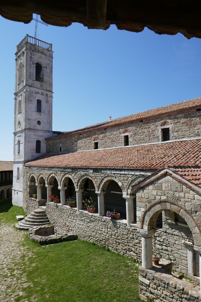 Ardenica