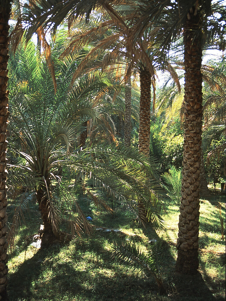 r2-19.jpg